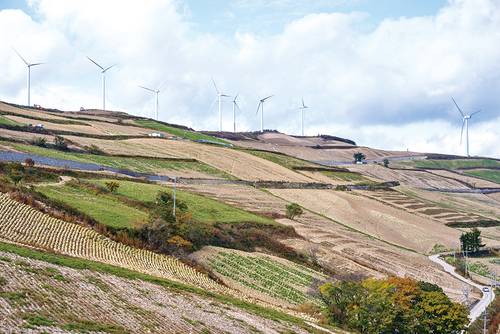 매봉산 바람의 언덕(사진 최갑수)