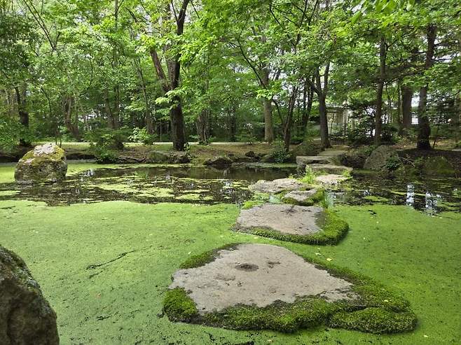 viewimage.php?id=23b2db27ebc637&no=24b0d769e1d32ca73de883fa1bd62531caf022a001a6328b8fcf4dbd347c71c7aaaad0c21bbd7a347ba6d1f5940dce9691776eb4fd2b2827fb4bf8c5067751a3b97e