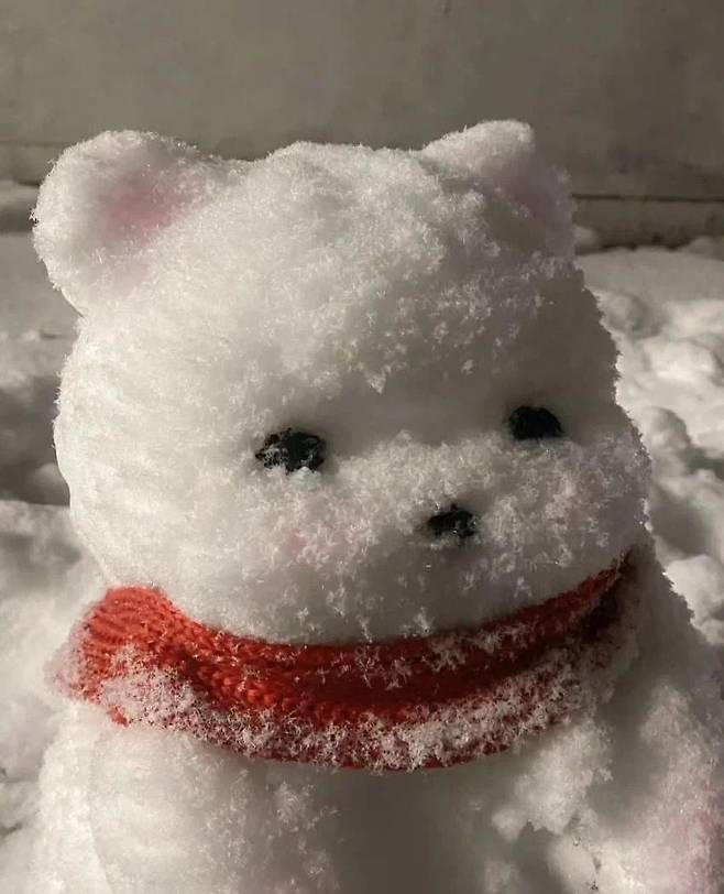 1000007901.jpg 어느 디씨인이 만든 힐링되는 눈사람.jpg