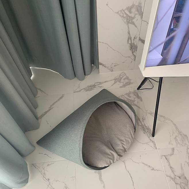 27만원...jpg 우리 강아지 방석