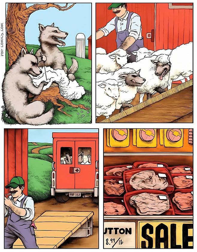 a.jpg 양의 탈을 쓴 늑대