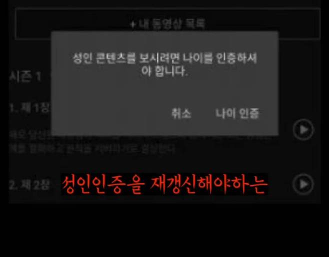 넷플릭스에서 성인인증을 매번 해야하는 이유