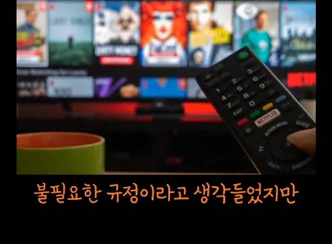 넷플릭스에서 성인인증을 매번 해야하는 이유