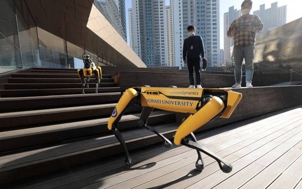 서울 현대모터스튜디오 고양에서 관계자들이 4족 보행 로봇 개 '스폿(spot)'의 시연을 하는 모습. 사진=뉴스1