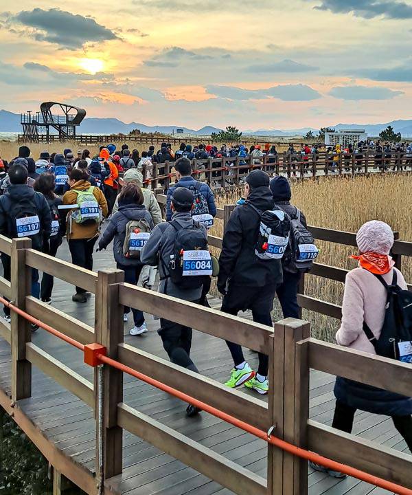 부산 갈맷길의 핵심구간을 밤새워 걷는 2025오륙도(56道)투나잇 장거리걷기 축제참가자들이 사하구 고우니 생태길을 걷고 있다. 국제신문DB