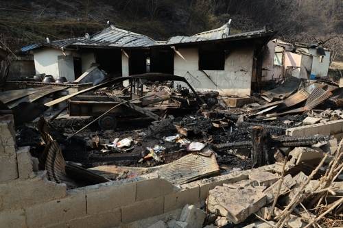 산청 산불 피해 현장./연합뉴스/