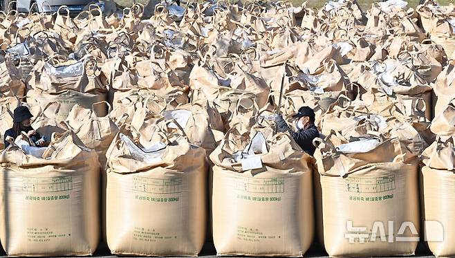 [평택=뉴시스] 김종택기자 = 지난해 11월 7일 경기도 평택시 오성면 농업생태원에서 열린 2024년산 공공비축미곡 매입 현장에서 검수원들이 벼의 품질을 검수하고 있는 모습. 2024.11.07. jtk@newsis.com