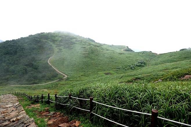 [창녕=뉴시스] 화왕산군립공원 전경. (사진= 창녕군 제공) 2025.06.14. photo@newsis.com *재판매 및 DB 금지