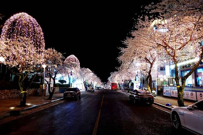 [창녕=뉴시스] 부곡 온천 빛의거리 전경. (사진= 창녕군 제공) 2025.06.14. photo@newsis.com *재판매 및 DB 금지
