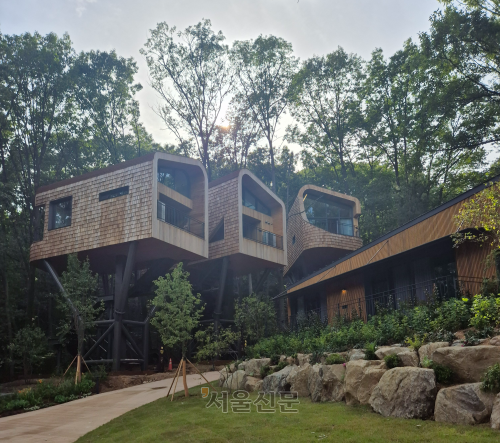 수락휴의 14m 높이에 설치된 트리하우스.   서유미 기자