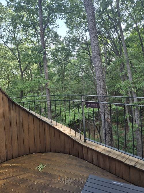 수락휴 트리하우스의 베란다에서 바라본 숲 풍경. 서유미 기자