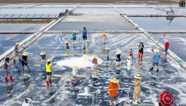 '기묘한 전라도 이야기' 상품으로 염전을 체험할 수 있다 /한국방문의해위원회