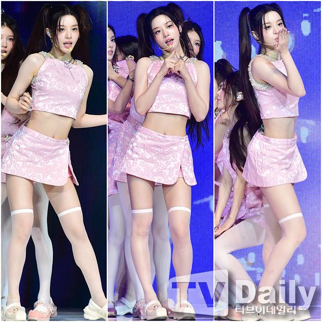 티브이데일리 포토