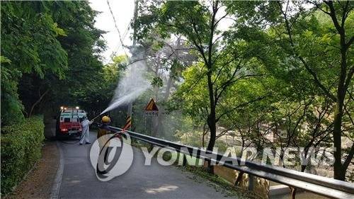 산림해충 방제작업 [연합뉴스 자료사진]