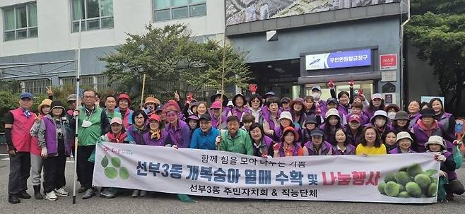 ▲ 안산시 단원구 선부3동 주민자치회는 지난 14일 통장협의회, 직능단체원 80여명과 함께 마을 공유자원인 개복숭아 열매 수확 행사를 진행했다./사진제공=안산시