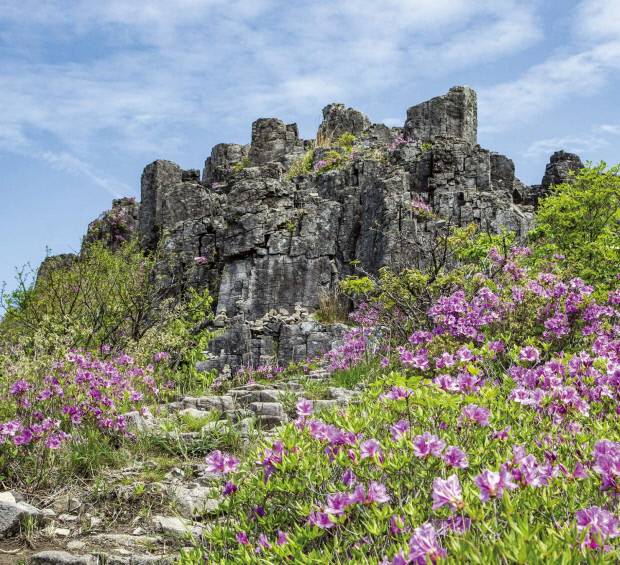 ‘광주의 어머니’ 무등산은 예로부터 시인묵객들의 다양한 창작의 소재였다. 철쭉이 만개한 무등산 입석대.