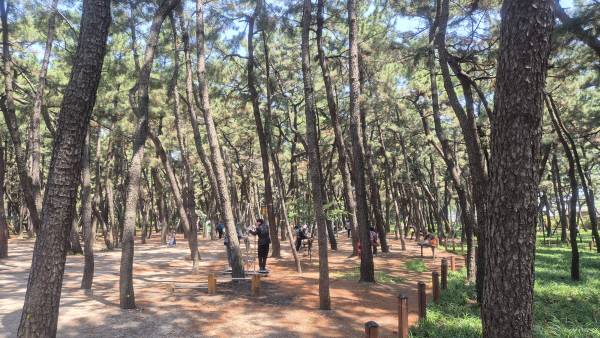 도시숲내 체육시설에서 건강한 몸을 가꾸는 시민들