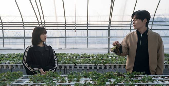 In Our Unwritten Seoul, Park Bo-young (left) plays Mi-rae posing as her twin sister Mi-ji, alongside Han Se-jin (played by Ryu Kyung-soo), the owner of a strawberry farm run by his grandfather. Se-jin candidly shares how he has learned to overcome “rumors” and prove himself in his own way—offering what amounts to a subtle confession of affection. Through their interactions, Mi-rae begins to gain new insight. /tvN