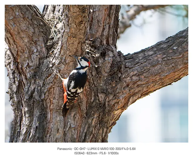 0f9f867ec78019fe23e7f7e0429c701c41d1f4240ccf0f35494a7b284c36b09f60ab9e3b2de22f8ed18fd142ddb8675c191ebcab2d46