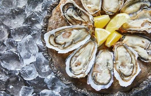 IMG_8924.jpeg 굴의 효능