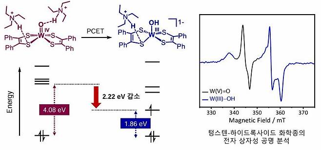 수소결합에 의한 분자 궤도 에너지 준위 감소 현상(왼쪽)과 전자상자성공명(EPR) 분석에 의해 생성이 최초로 관찰된 텅스텐-하이드록사이드 화학종. GIST 제공