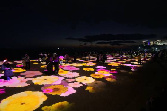 강원 속초시가 해수욕장에 조성한 야간경관 ‘빛의 바다, Sokcho’ 모습. [사진 속초시]