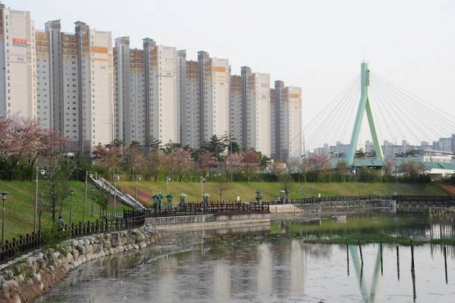 ▲ 수완지구 풍영정천 풍경