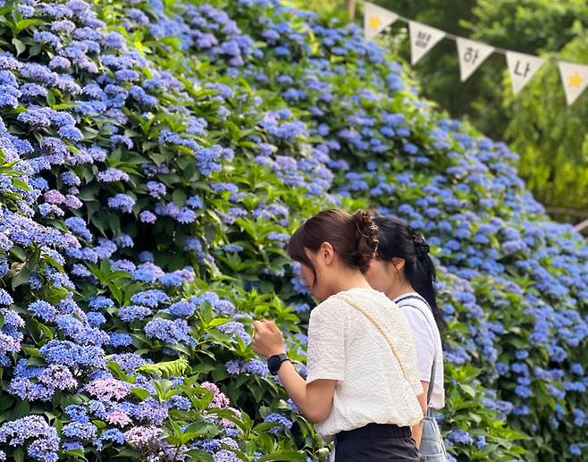 진주월아산숲속의진주.