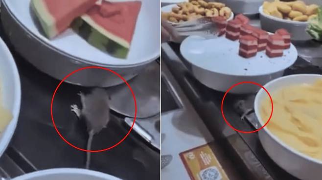 중국 베이징의 한 훠궈 식당에서 회전식 컨베이어 벨트 위로 쥐가 기어다니는 영상이 촬영돼 논란이다. /사진=샤오샹천바오 캡처