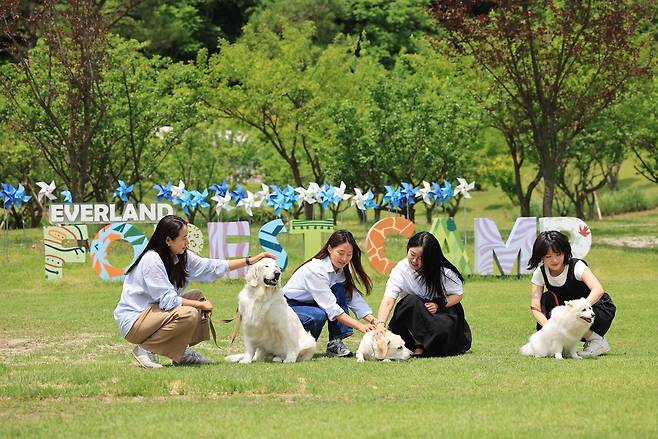 에버랜드 반려견 동반 비타민 캠프 ‘멍하니 걷개’ 론칭