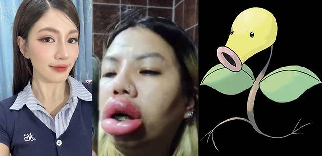 [뉴시스] 키티야 메나루지와 포켓몬 캐릭터 모다피. (출처=페이스북 @Kittiya Menaruji, 포켓몬 공식 홈페이지) *재판매 및 DB 금지