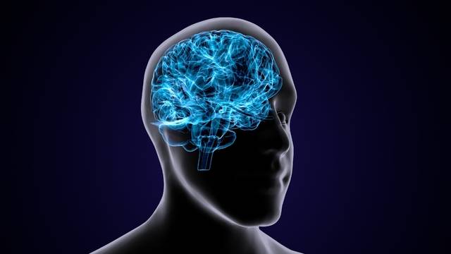 과관류증후군과 모야모야병의 관계를 예측할 수 있는 지표가 개발됐다. 사진은 기사의 특정 사실과 관련 없음. 게티이미지뱅크