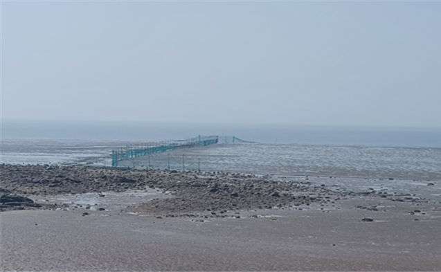 ▲해안 갯벌 ⓒ인천광역시