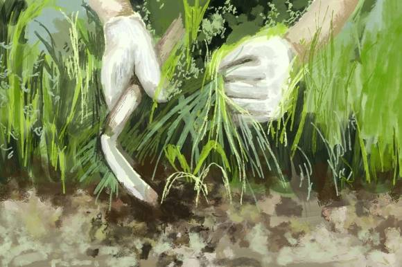 일러스트 고재하