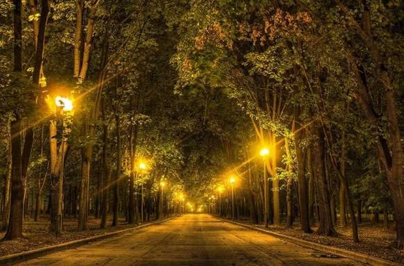 화려한 도시의 밤 풍경을 만드는 인공조명이 식물들에는 지구 온난화보다 더 심한 생장 환경을 만든다는 지적이 나왔다.  픽사베이 제공