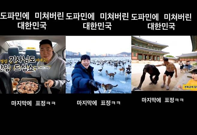 현실에서 한 번 목격하기도 어려운 상황이 연이어 등장하는 영상 [인스타그램 캡처. 재판매 및 DB 금지]