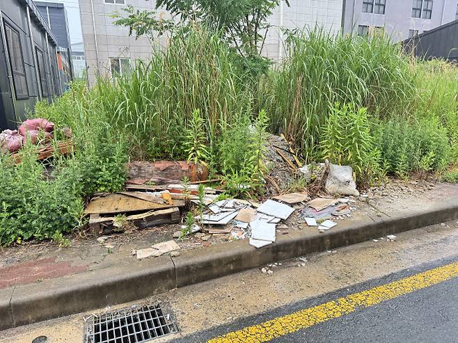 /임지섭 기자 ljs@namdonews.com