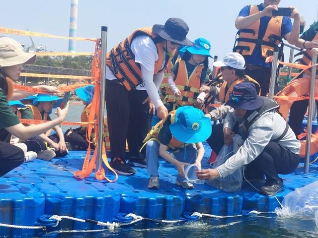 한 유치원생이 군산시가 진행한 갑오징어 방류 체험에 참여 하고 있는 모습/사진=이환규 기자