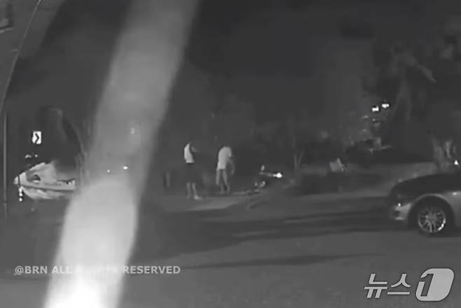 남성들이 반려견에게 비비탄총을 쏘는 모습.(비글구조네트워크 인스타그램 갈무리. 재판매 및 DB금지)