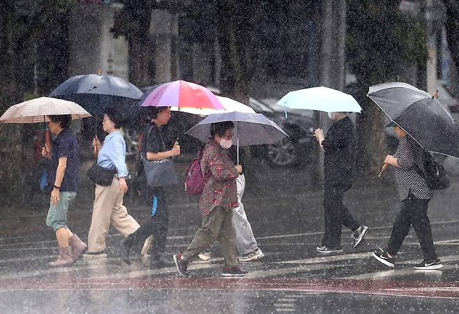 지난 16일 오전 대구 수성구 달구벌대로에 많은 비가 쏟아지자 시민들이 우산을 펼쳐 비를 피하며 길을 건너고 있다. /뉴스1