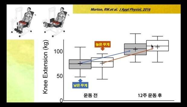 1717d638cdd3175f.jpg 서울대 교수님 피셜 근육 늘리는 법 서울대 교수님 피셜 근육 늘리는 법...jpg 서울대 교수님 피셜 근육 늘리는 법...jpg