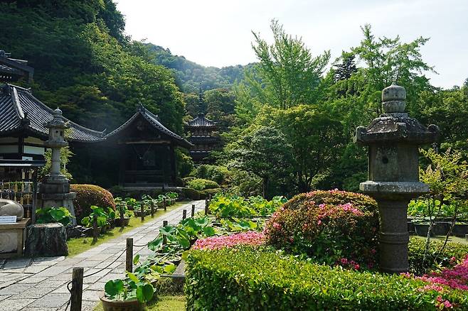 DSC02918.JPG (스압) 간사이 여행 사진