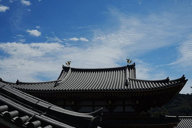 DSC03042_1.JPG (스압) 간사이 여행 사진