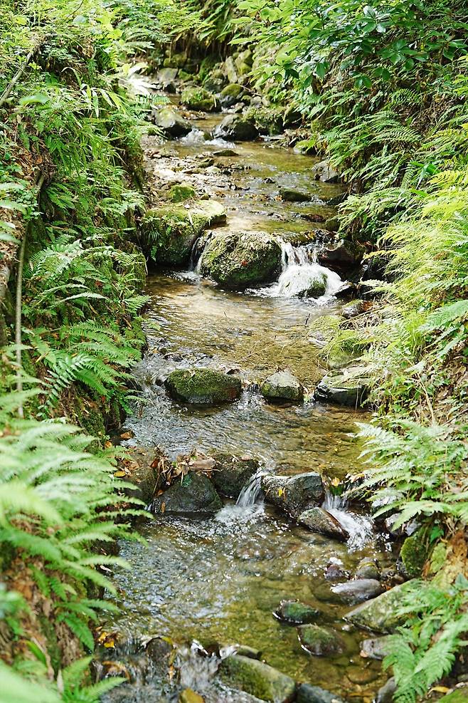 DSC03182.JPG (스압) 간사이 여행 사진