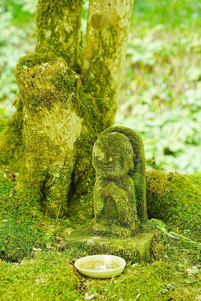 DSC03239.JPG (스압) 간사이 여행 사진