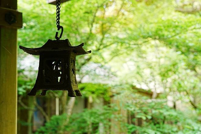 DSC03266.JPG (스압) 간사이 여행 사진