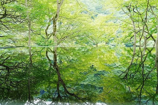 DSC03453.JPG (스압) 간사이 여행 사진