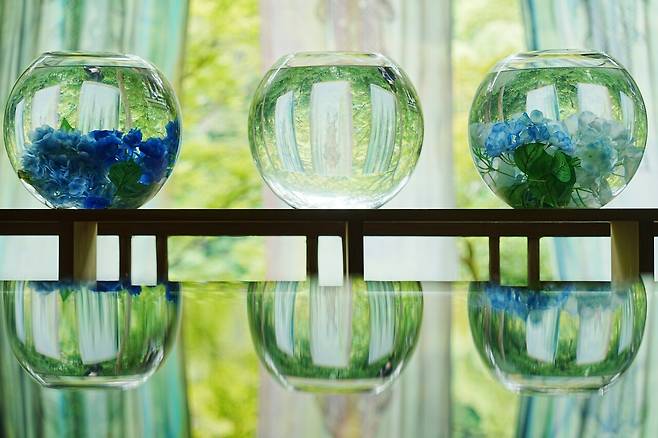 DSC03527.JPG (스압) 간사이 여행 사진