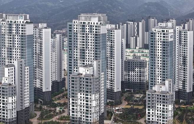 경기 과천 시내 아파트 단지들의 모습. 뉴스1