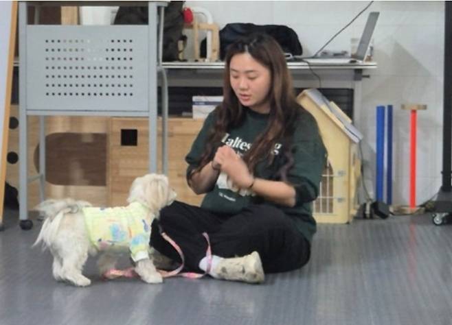 반려동물의 행동교육, 생활용품 제작, 입양 상담까지 한 번에 즐길 수 있는 복합 문화공간 '구로댕냥이네'가 25일 서울 구로구에서 문을 엽니다. 구로댕냥이네 홈페이지